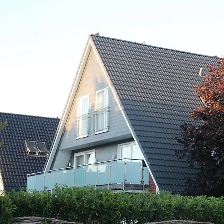 Seestern * Büsum